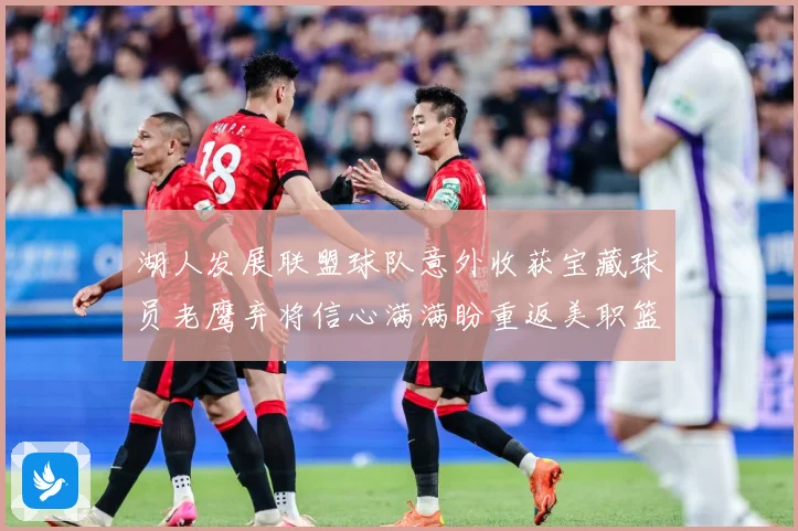 湖人发展联盟球队意外收获宝藏球员老鹰弃将信心满满盼重返美职篮赛场复盘：最新赛事动态与深度分析