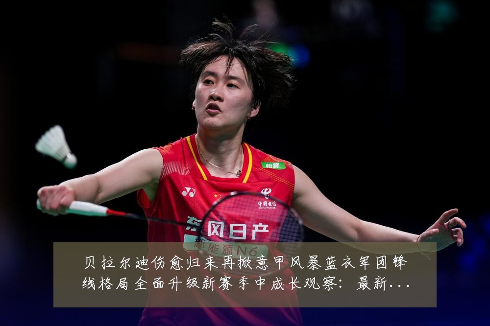 贝拉尔迪伤愈归来再掀意甲风暴蓝衣军团锋线格局全面升级新赛季中成长观察：最新赛事动态与深度分析